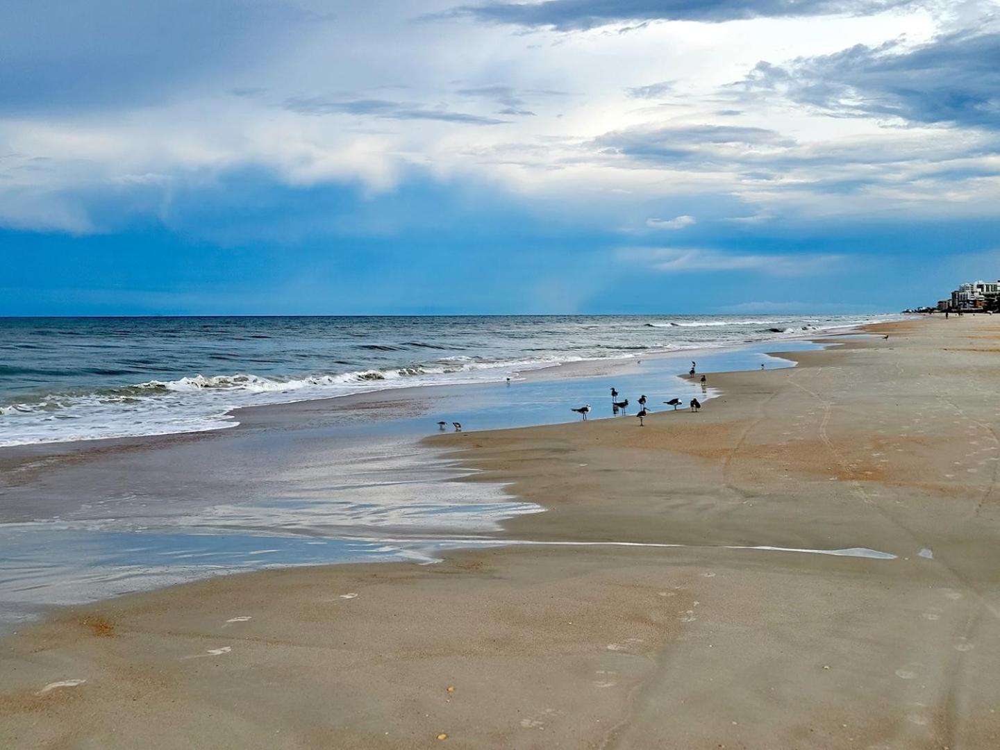 410 - Fourth Floor 1/1 Sleeps 2 Leilighet New Smyrna Beach Eksteriør bilde